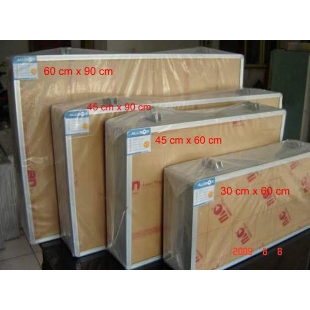 Neon Box Aluminium 60x90