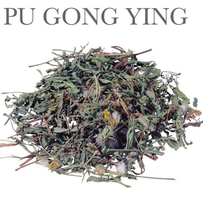 

600 G GR GRAM TEH DANDELION HERBAL TEA PU GONG YING