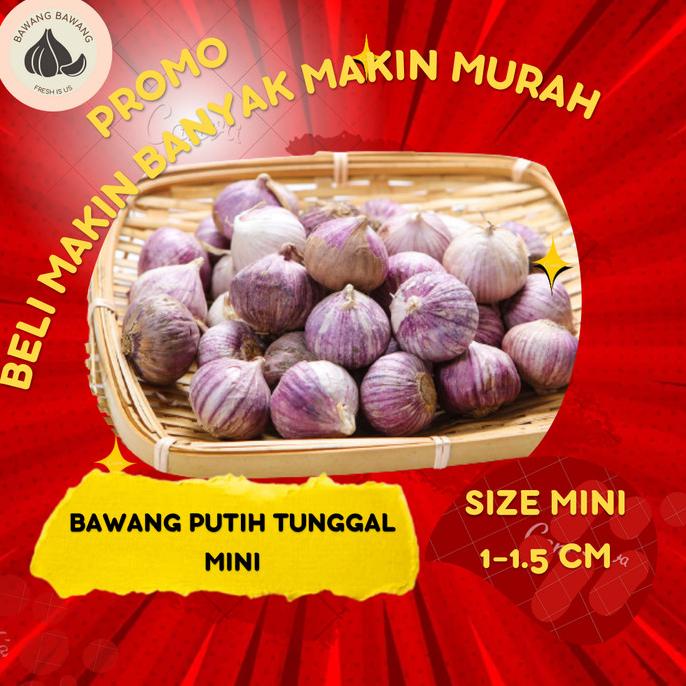 

Bawang Putih Tunggal Lanang Kecil 1Kg