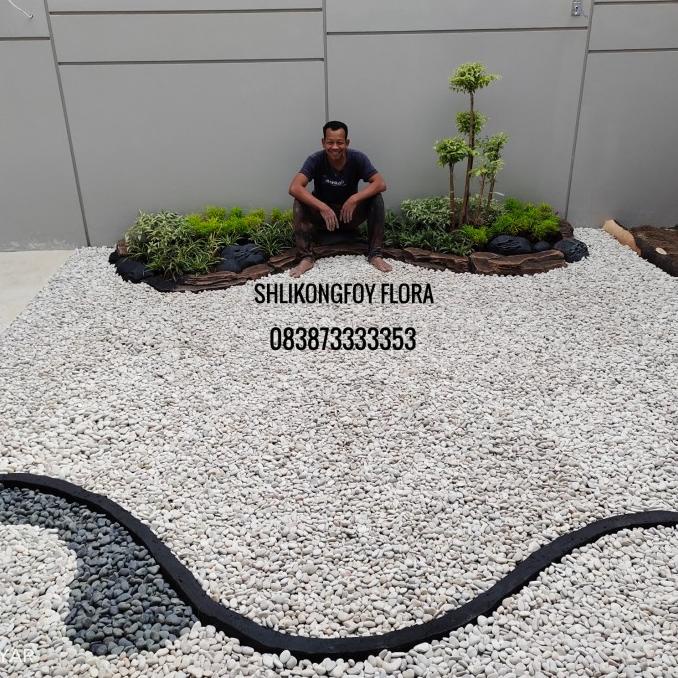 Ready Taman kering/taman batu tabur/taman batu koral