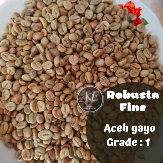 biji kopi mentah ( green Bean ) Robusta fine Aceh Gayo 1kg