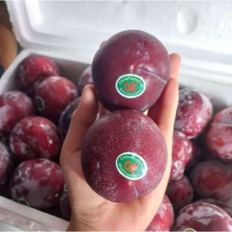 

Red Plum RRC / Plum black 500gr