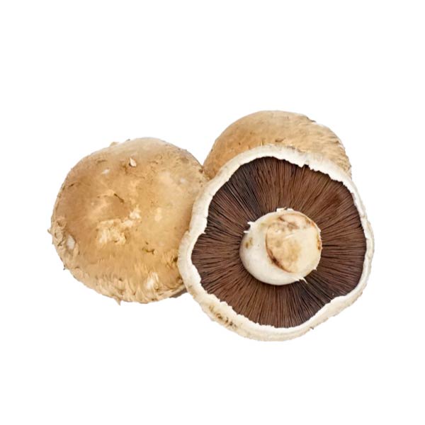 

Jamur Portabella Pack 250 Gr