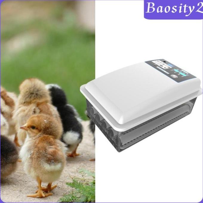 (Baosity2) Inkubator Otomatis Untuk Telur Ayam / Angsa / Burung