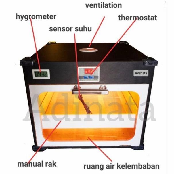 INKUBATOR PENGHANGAT ANAK BURUNG CONTROLLER SUHU OTOMATIS TERLARIS