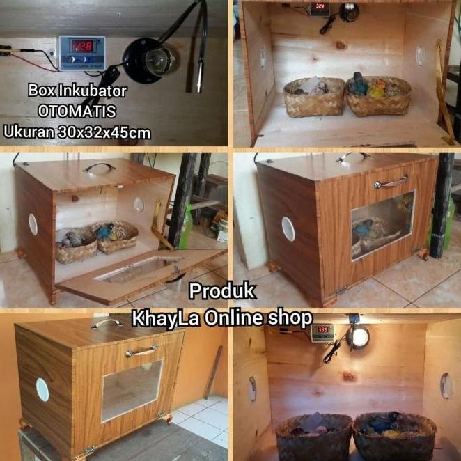 Terlaris Box Inkubator Full Otomatis Untuk Anakan Burung Apa Sajah