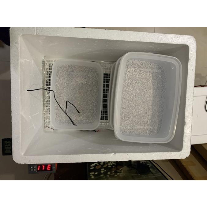 incubator ball python /incubator reptile /inkubator reptil/ inkubator