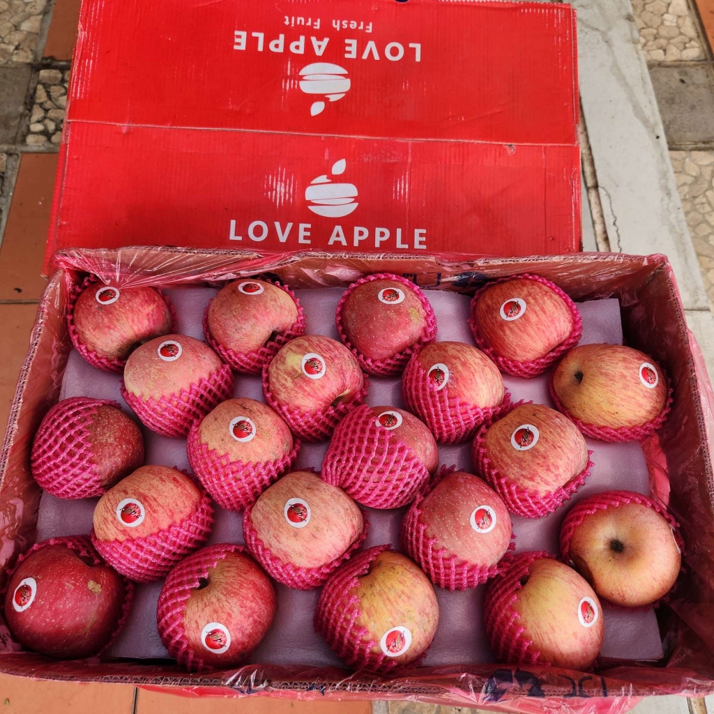 Apel Fuji 1 Dus / 17kg