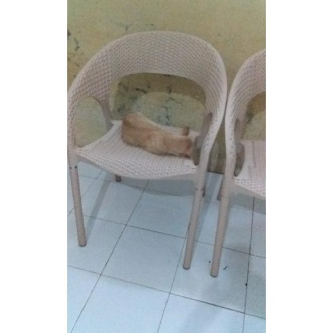 Set Kursi Club Rotan Kursi Teras Plastik Kuat Kokoh Murah