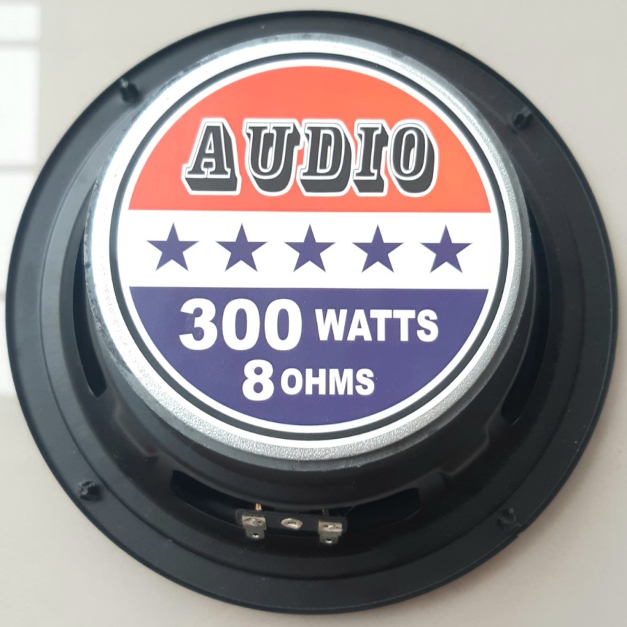 Audio Speaker 6 Inch 300W 8 Ohms Suara Bass Akurat