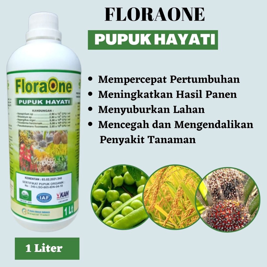 Pupuk PGPR, Pupuk untuk sayuran dan buah-buahan, atasi layu fusarium, busuk buah, busuk batang