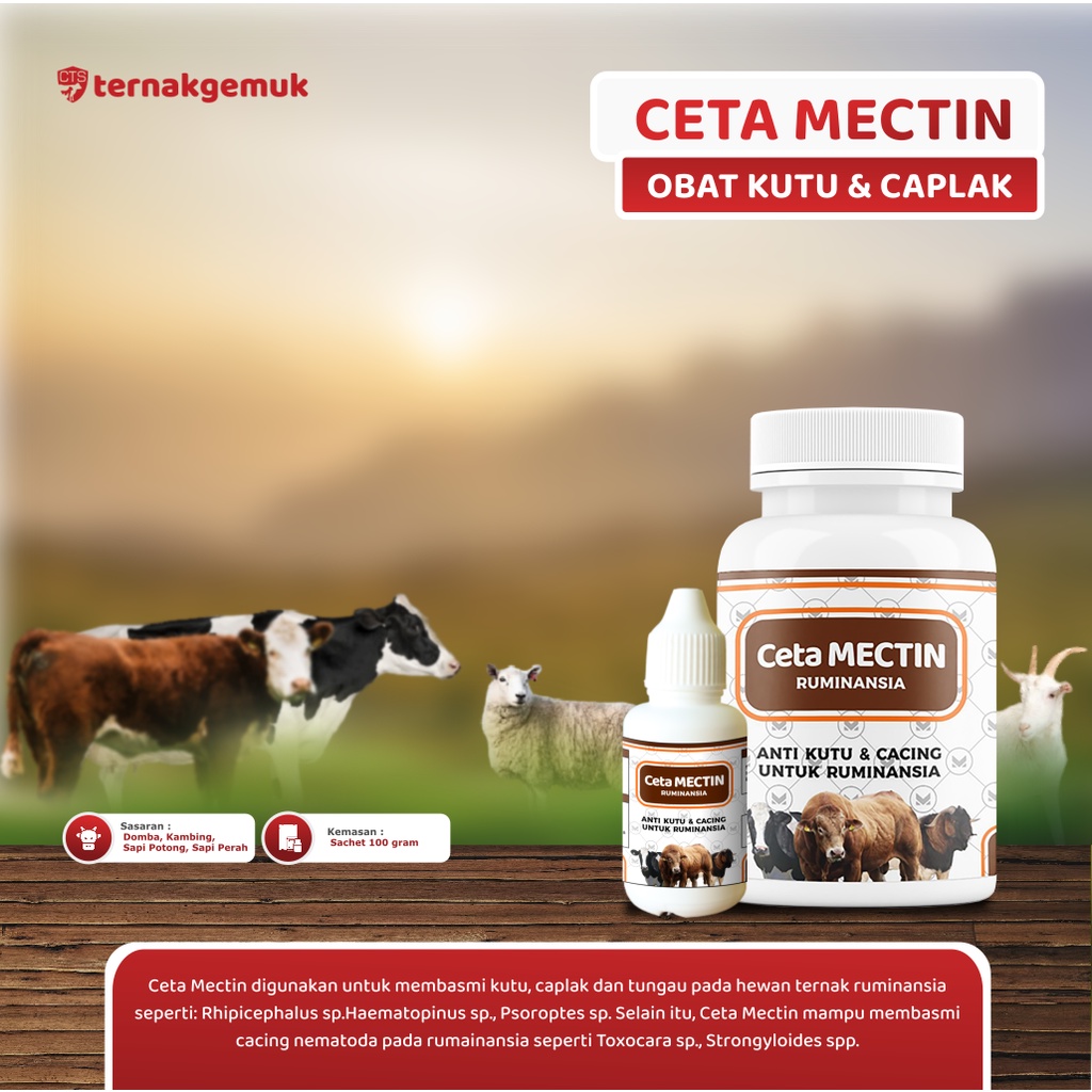 OBAT KUTU GUDIK KAMBING DOMBA SAPI TERNAK (CETA MECTIN) OBAT SCABIES KORENG JAMUR CACING ORAL , BAHA