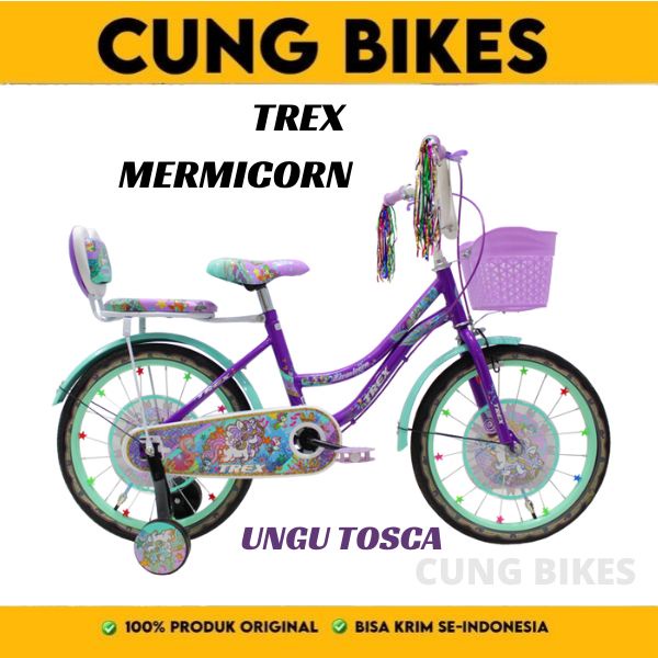 Sepeda Anak Perempuan Mini Trex Mermicorn 16 18 Inch keranjang