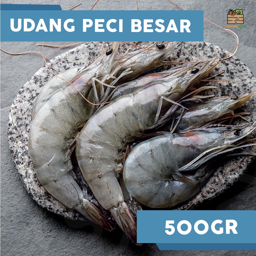 

Udang Peci Besar | ±500gr (Kota Bandung & Sekitar)