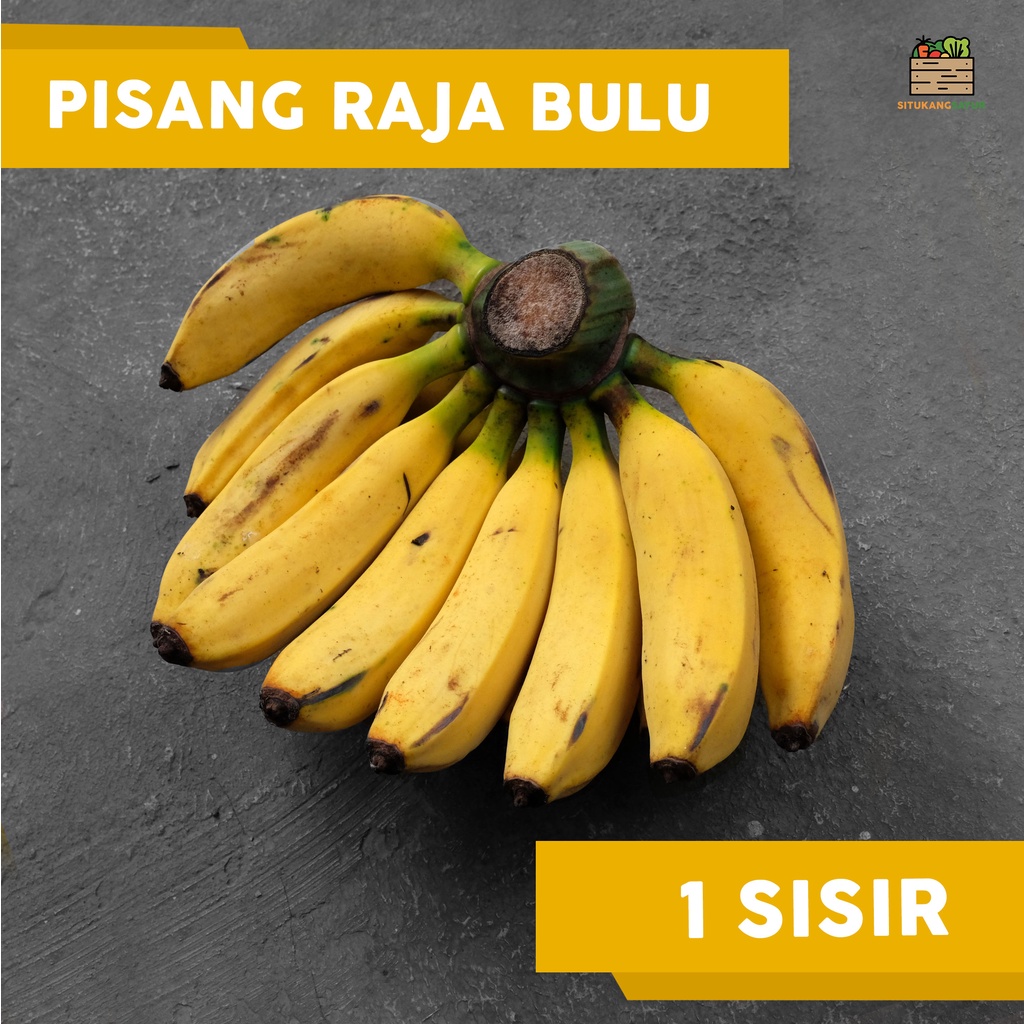

Pisang Raja Bulu | ±2kg (Kota Bandung & Sekitar)