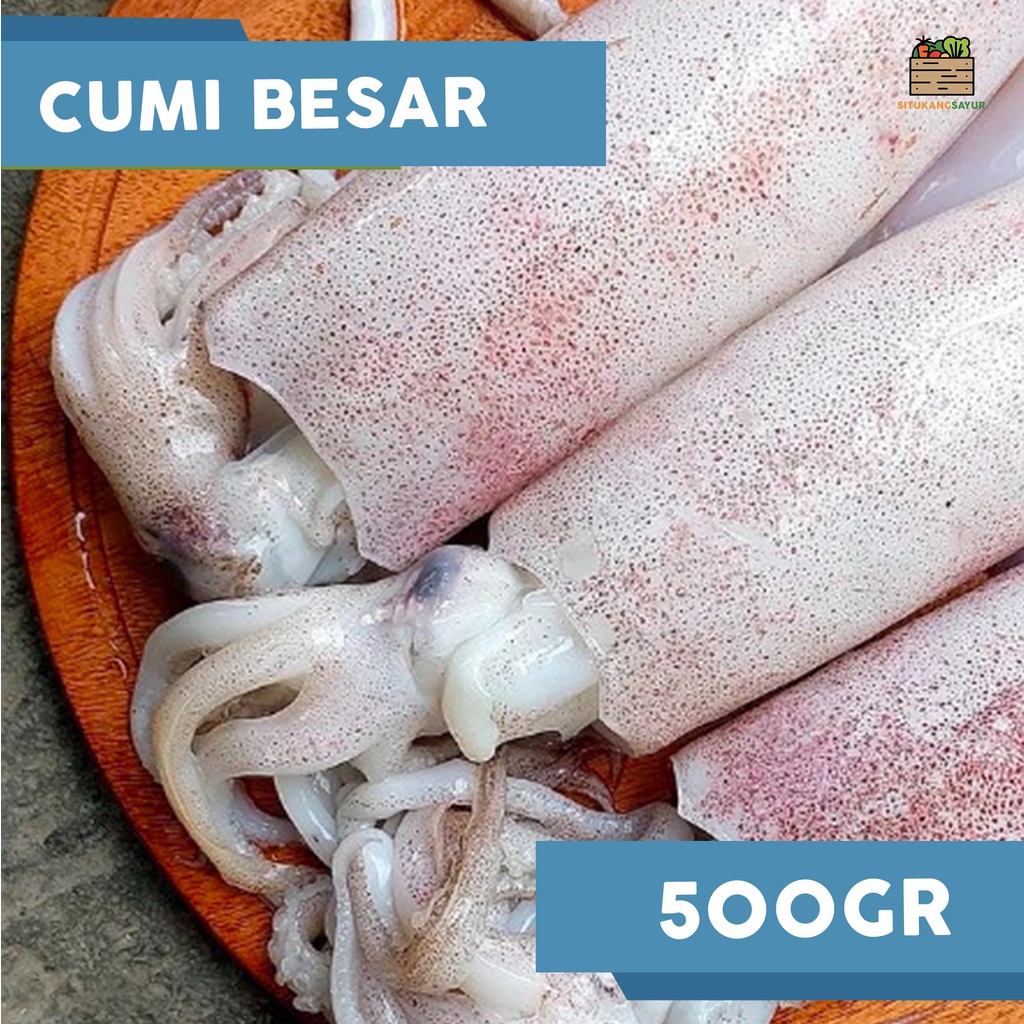

Cumi Segar | ±500gr (Kota Bandung & Sekitar)