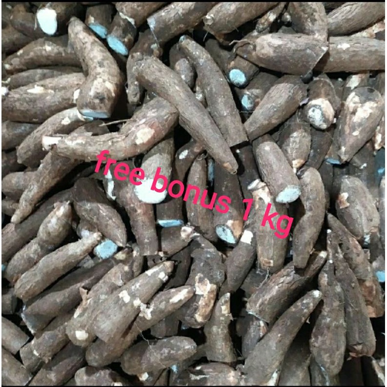 

singkong mentah 1kg + gratis bonus