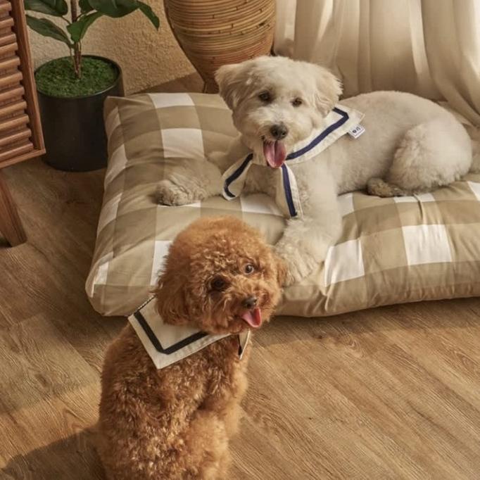 WOOFIDOO The Sack Market Twilly School/ Collar Tali Anjing Dog Cat