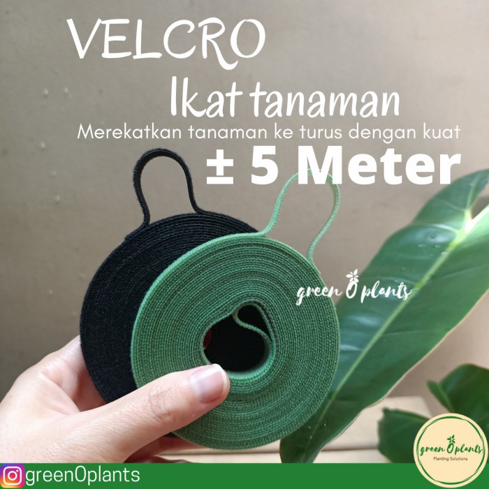 

Terlaris Cord Velcro Ikat Tanaman