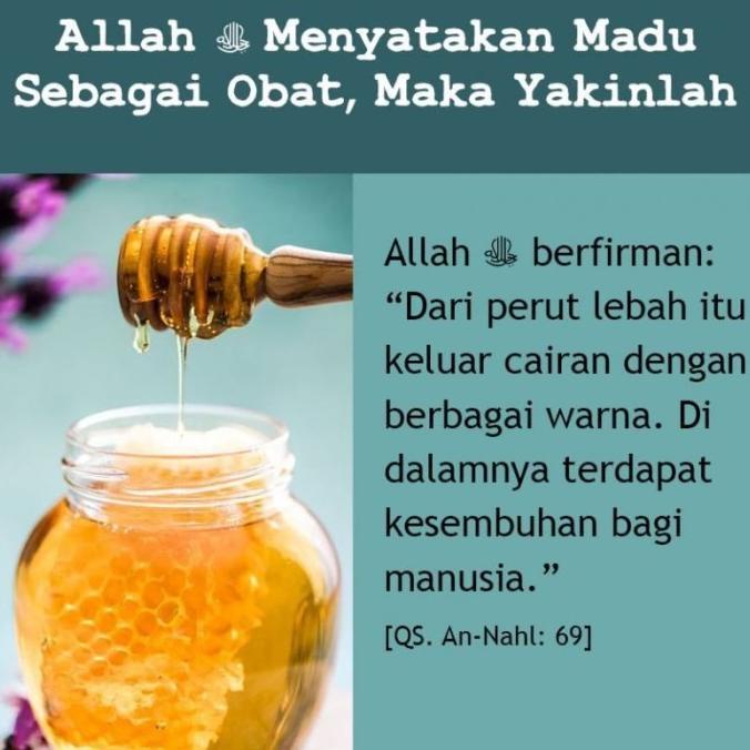 

Madu Randu Mabruuk 1 kg - Madu Murni 1kg - Madu Bunga Randu Mabruk 1kg lon06