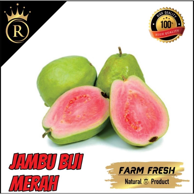 

JAMBU BIJI MERAH / JAMBU MERAH 1KG