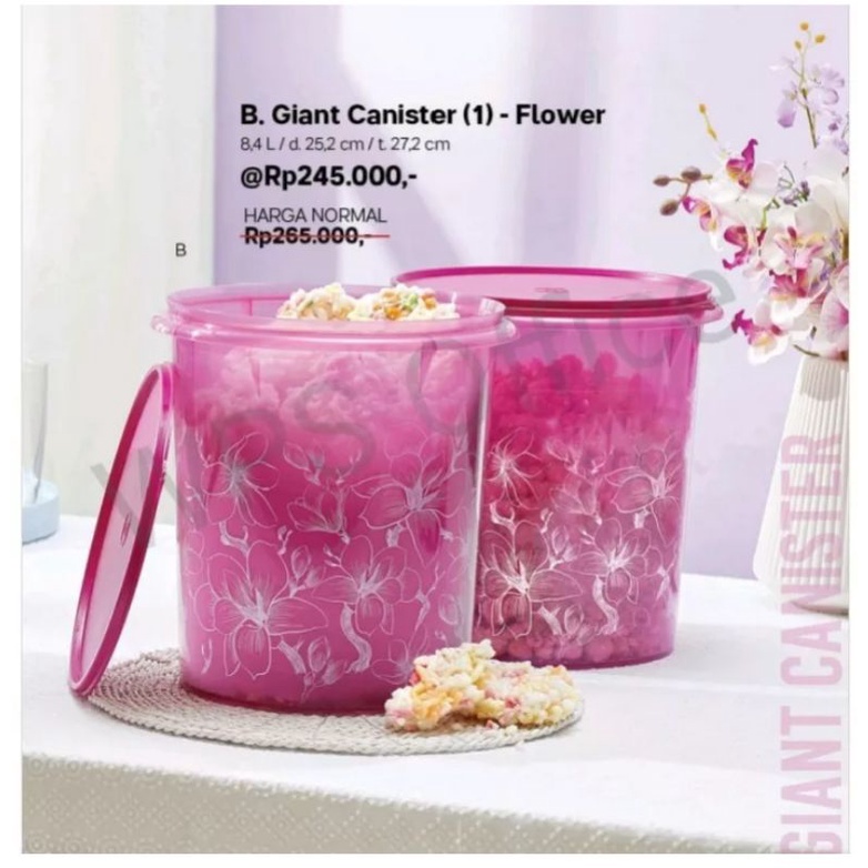 Giant canister flower 1 pcs ukuran 8,4 L