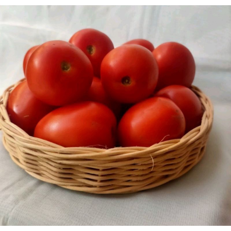 

tomat merah 1kg