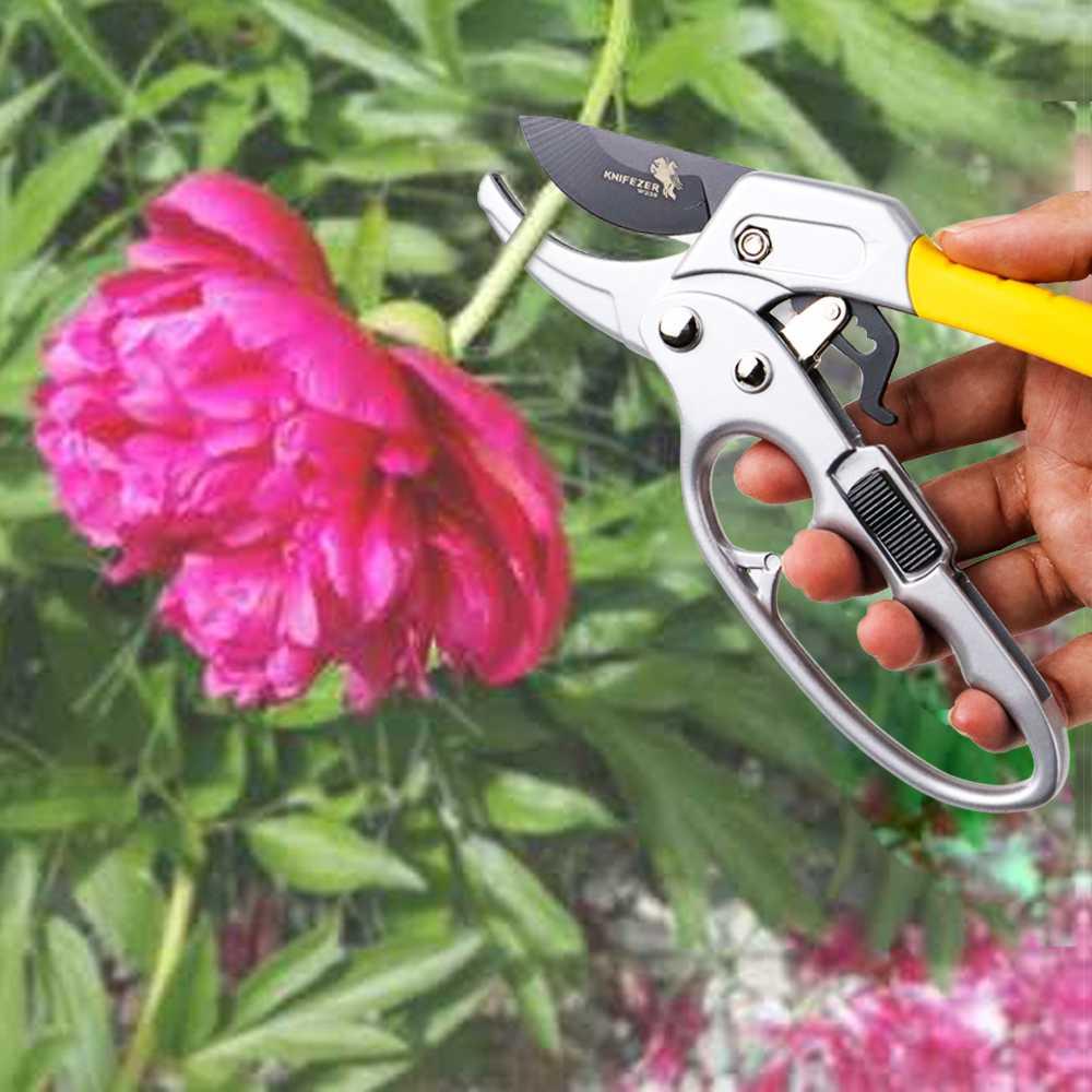 KNIFEZER Gunting Taman Ranting Garden Pruning Shear Scissors W238 Lampu Taman Lampu Outdoor Lampu Taman Lampu Outdoor Rumah Aquascape Rumah Aquascape Perkakas Tukang Kayu Perkakas Tukang Kayu Alat Aquascape Alat Aquascape Lampu Taman Dinding Lampu Taman D