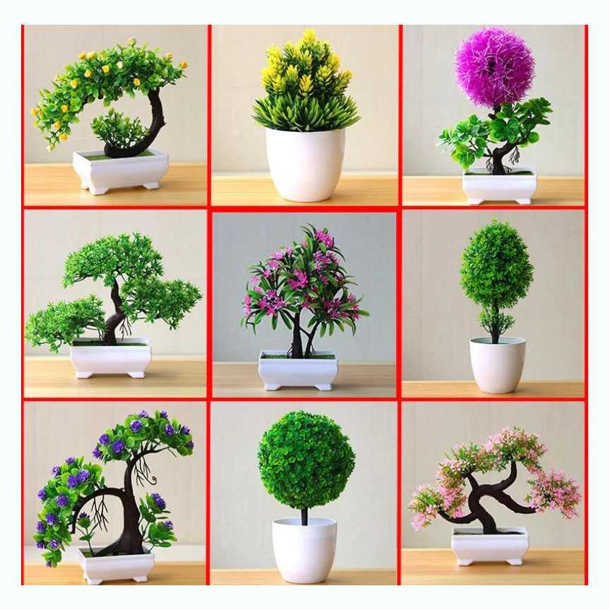 Fleur Tanaman Artificial Plants Decoration Bonsai JM10 Pampas Artificial Pampas Artificial Bunga Peony Artificial Bunga Peony Artificial Bonsai Shito Bonsai Shito Bunga Artificial Besar Bunga Artificial Besar Bunga Artifisial Murah Bunga Artifisial Murah