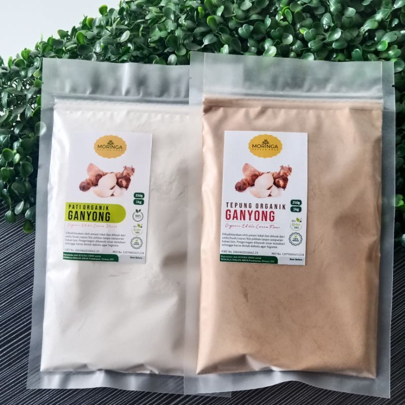 

Pati Ganyong dan Tepung Ganyong Organik 1kg