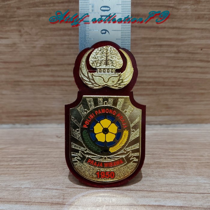 

Terlaris Pin Kewenangan Korpri Pol Pp Satpol Pp Akrilik Kuningan Magnet