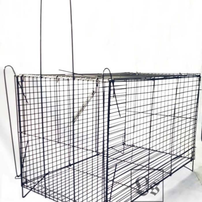 Terlaris Kandang Jebakan/Perangkap Kucing/Musang/Tikus/Kelinci Lipat Jumbo