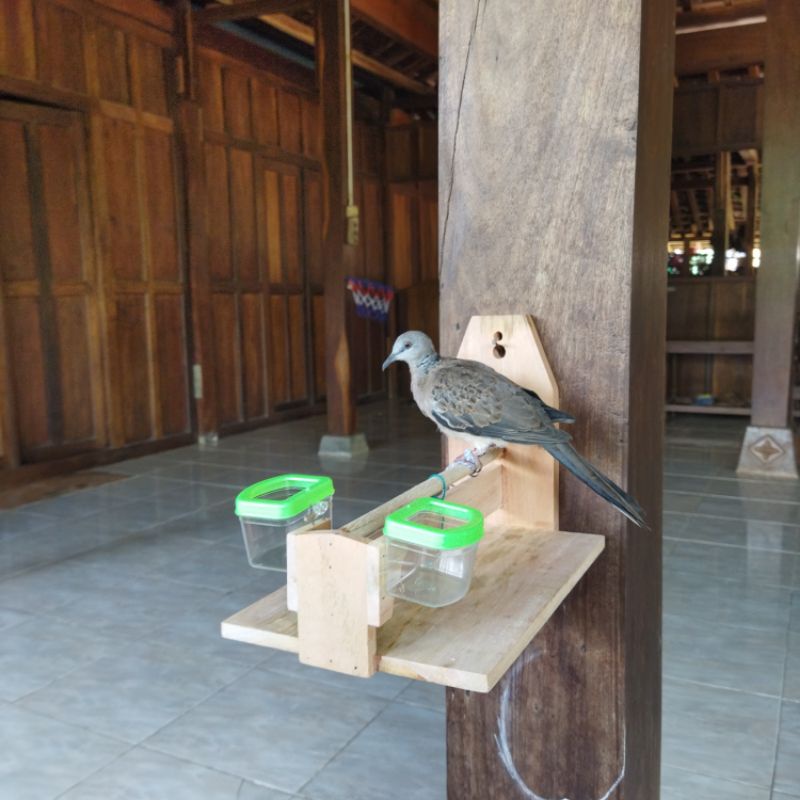 Sangkar Layang Tekukur Deruk Derkuku Puter Pelong Perkutut Kutilang Sangkar Burung Murah