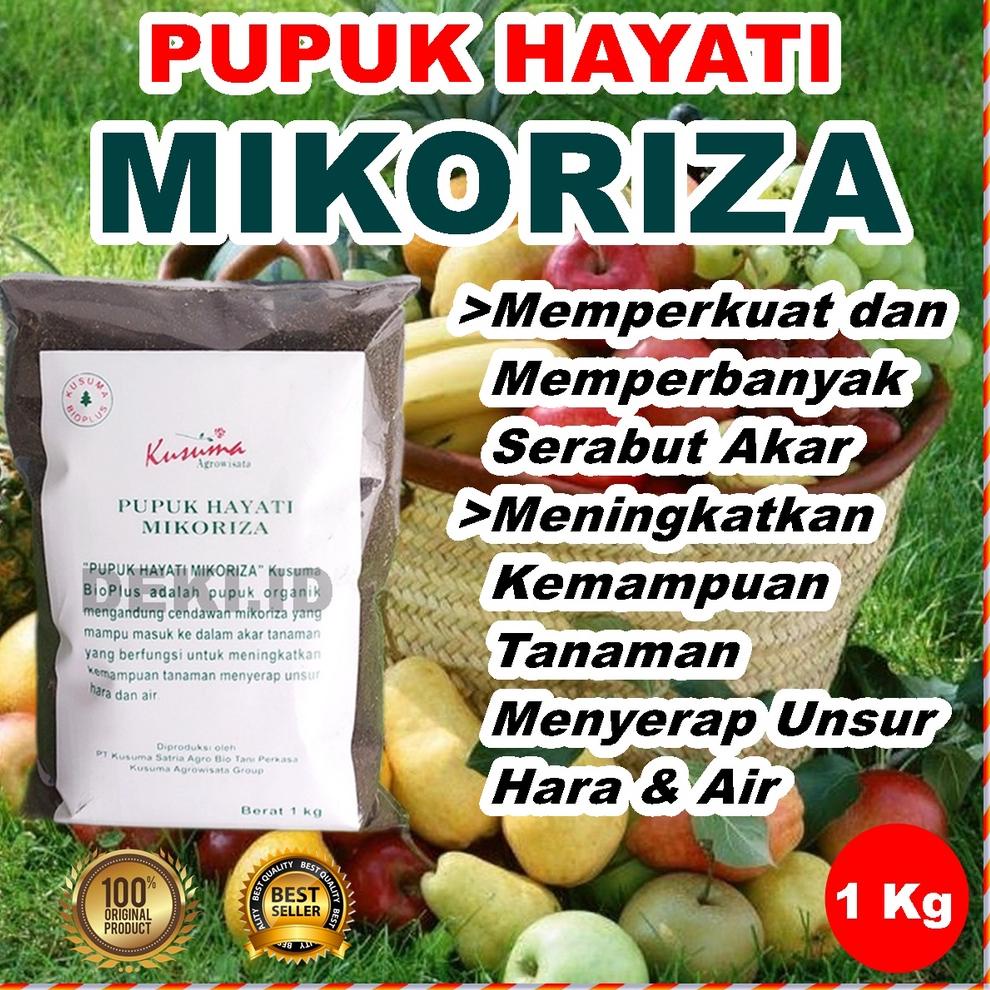 ⚡COD⚡ Mikoriza 1 Kg Kusuma Bioplus Pupuk Hayati Organik Jamur Penguat Akar Tanaman Buah Sayur Hias