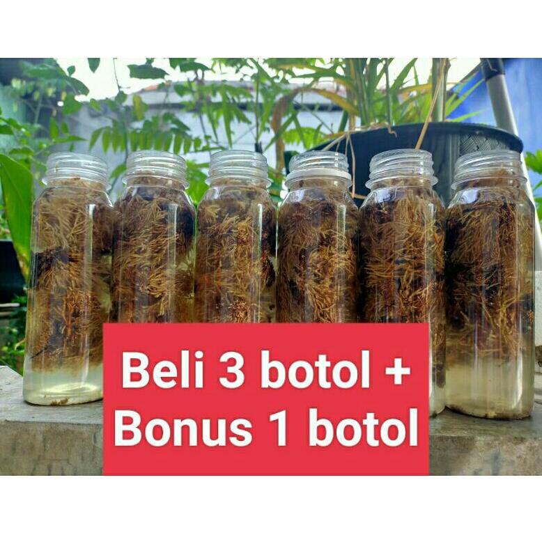 8.8 Spora Bibit Biang Jamur JAKABA Pupuk Organik