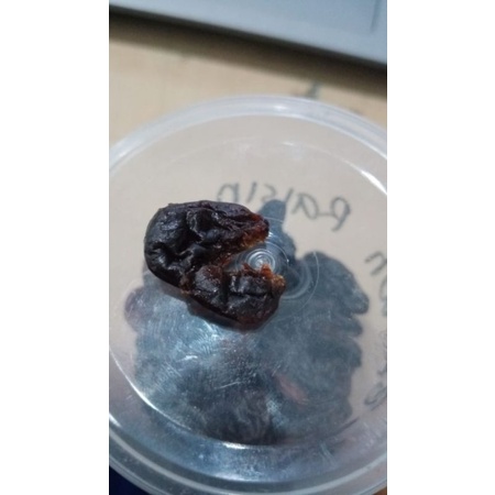 Kismis Hitam (500 gram) / Black Brown Raisin