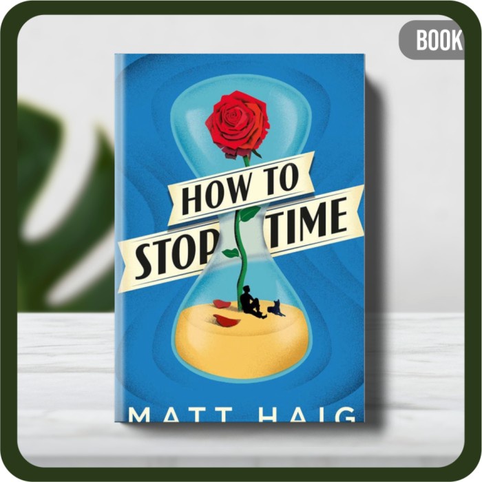 

Buku - How to Stop Time by Haig Matt