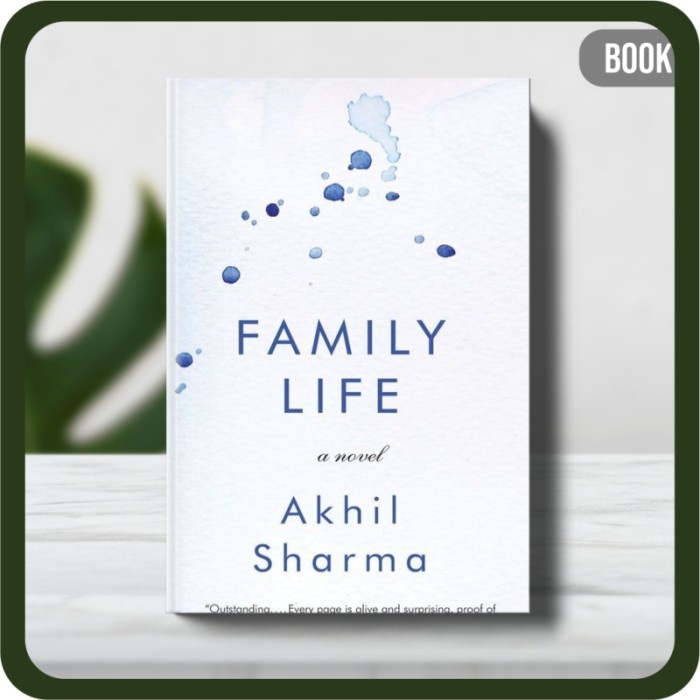 

Buku - Akhil Sharma Family Life