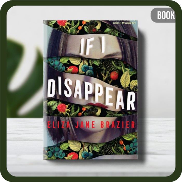 

Buku - Eliza Jane Brazier If I Disappear