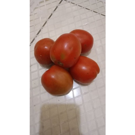 

Tomat 1/2kg