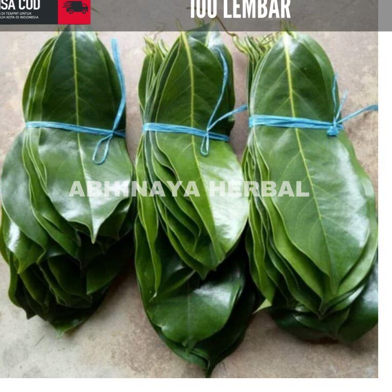 

Jangan Sampai Kehabisan!!!❄️ Daun sirsak segar - daun sirsak fresh organik per 100 lembar