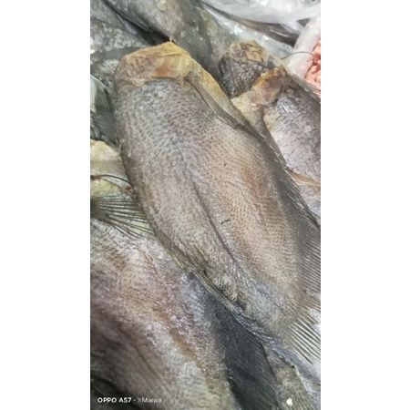 

ikan asin sepat uk besar ikan sepat kualitas super berkualitas