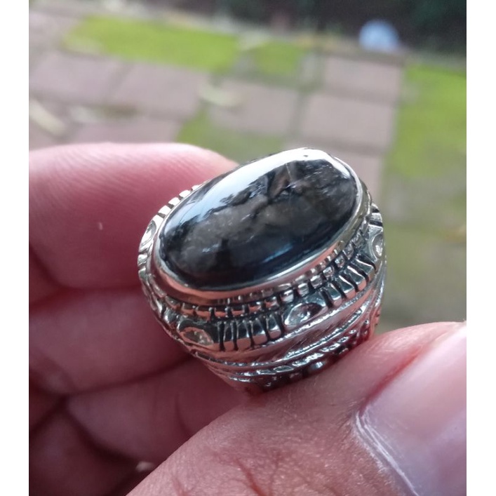 Batu Bulu Macan Lumajang