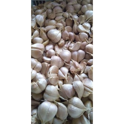 

bawang putih kating super premium murah glosir ,segar (dijamin sudah disortir)