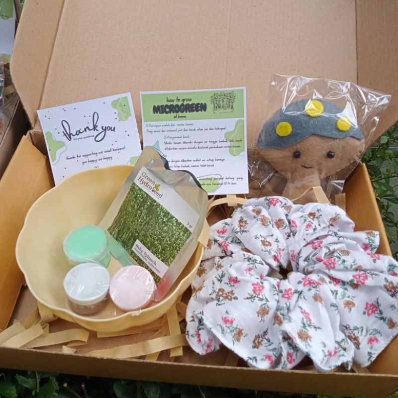 

Paint & Plant kit hampers