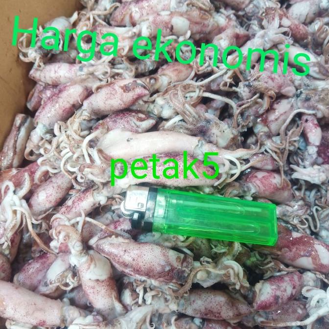 

Promo cumi asin grosir 10kg sedang