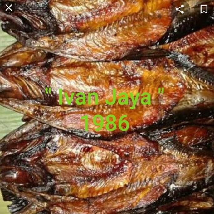 

Promo Ikan sale salai asap sidempuan 1kg