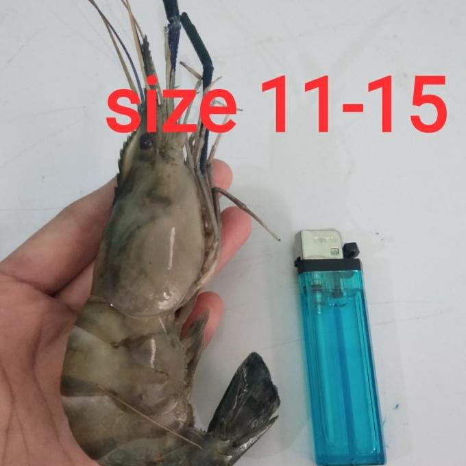 

Promo UDANG GALAH ISI 10-15PC/KG (SEAFOOD)