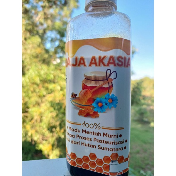 Raja Akasia Madu Asli Hutan Sumatera