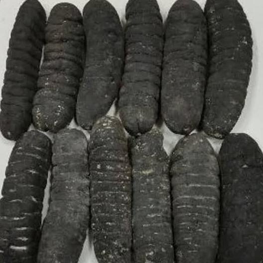 

Promo Haisom Kering Teripang ASLI Belitung 1kg isi 40 / Lintah Laut Hoisem